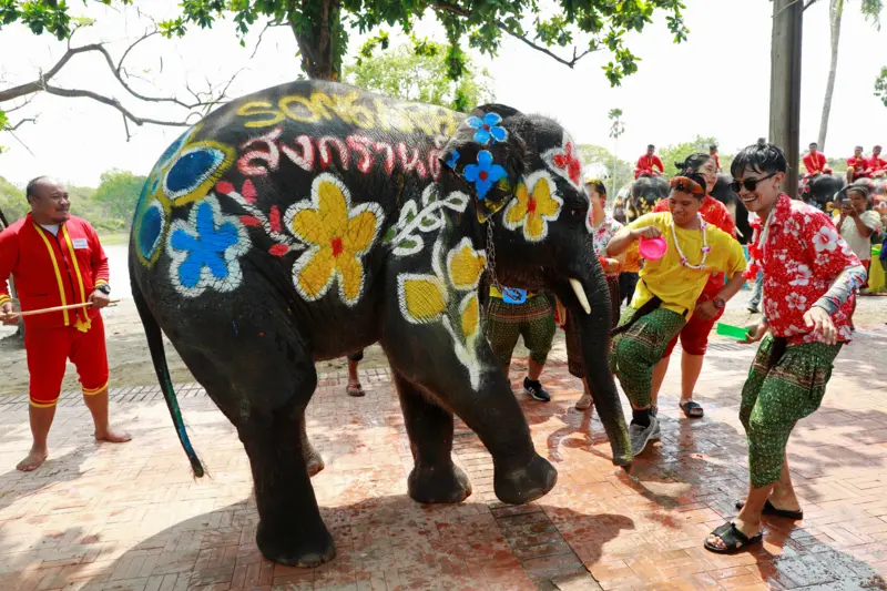 เล่นน้ำกับช้างที่ อยุธยา